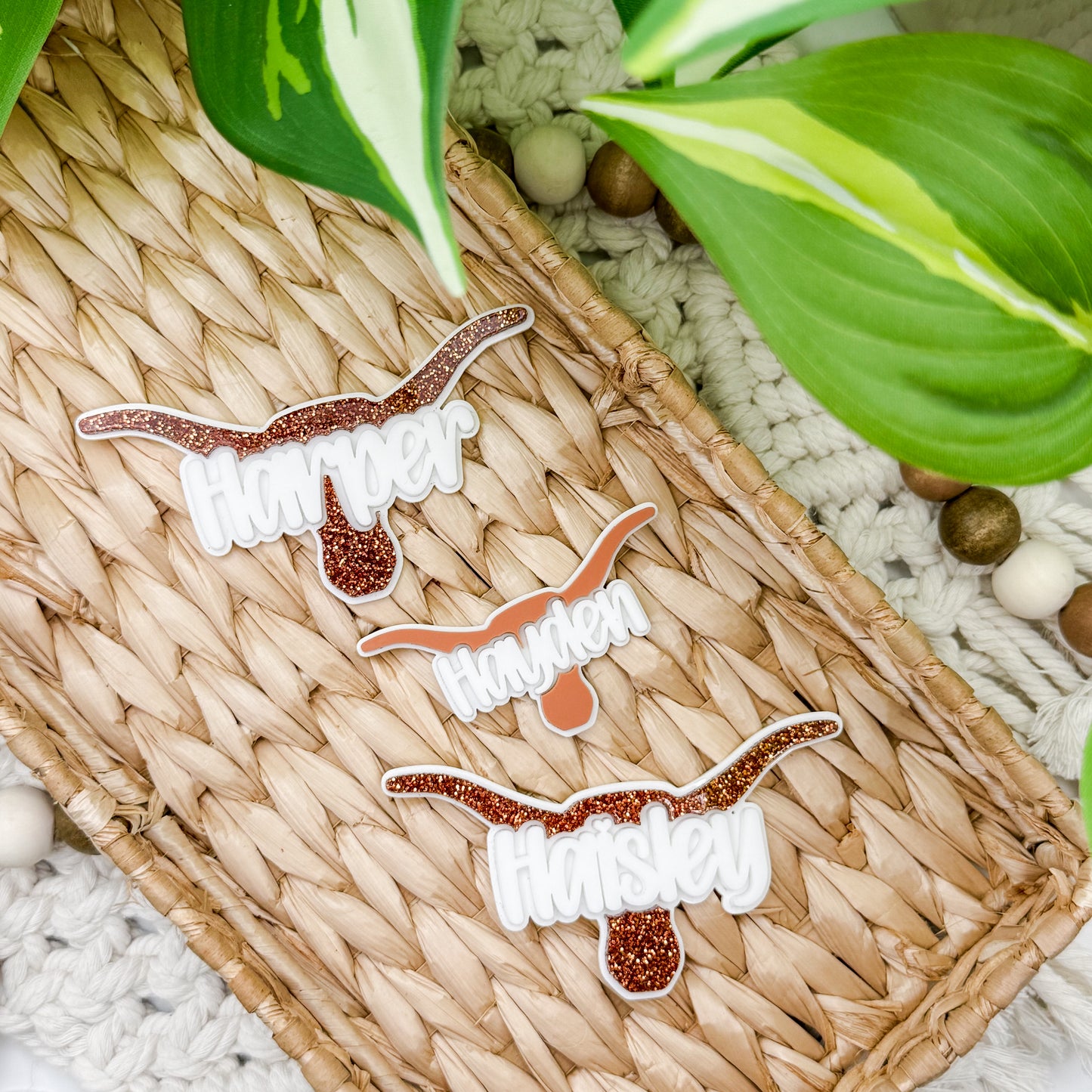 Personalized Longhorns