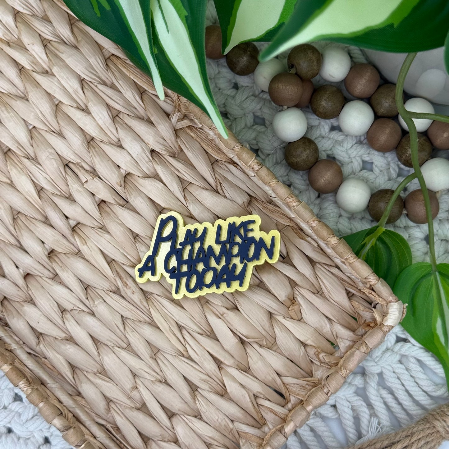 Play Like A Champion Today || Hair Clip