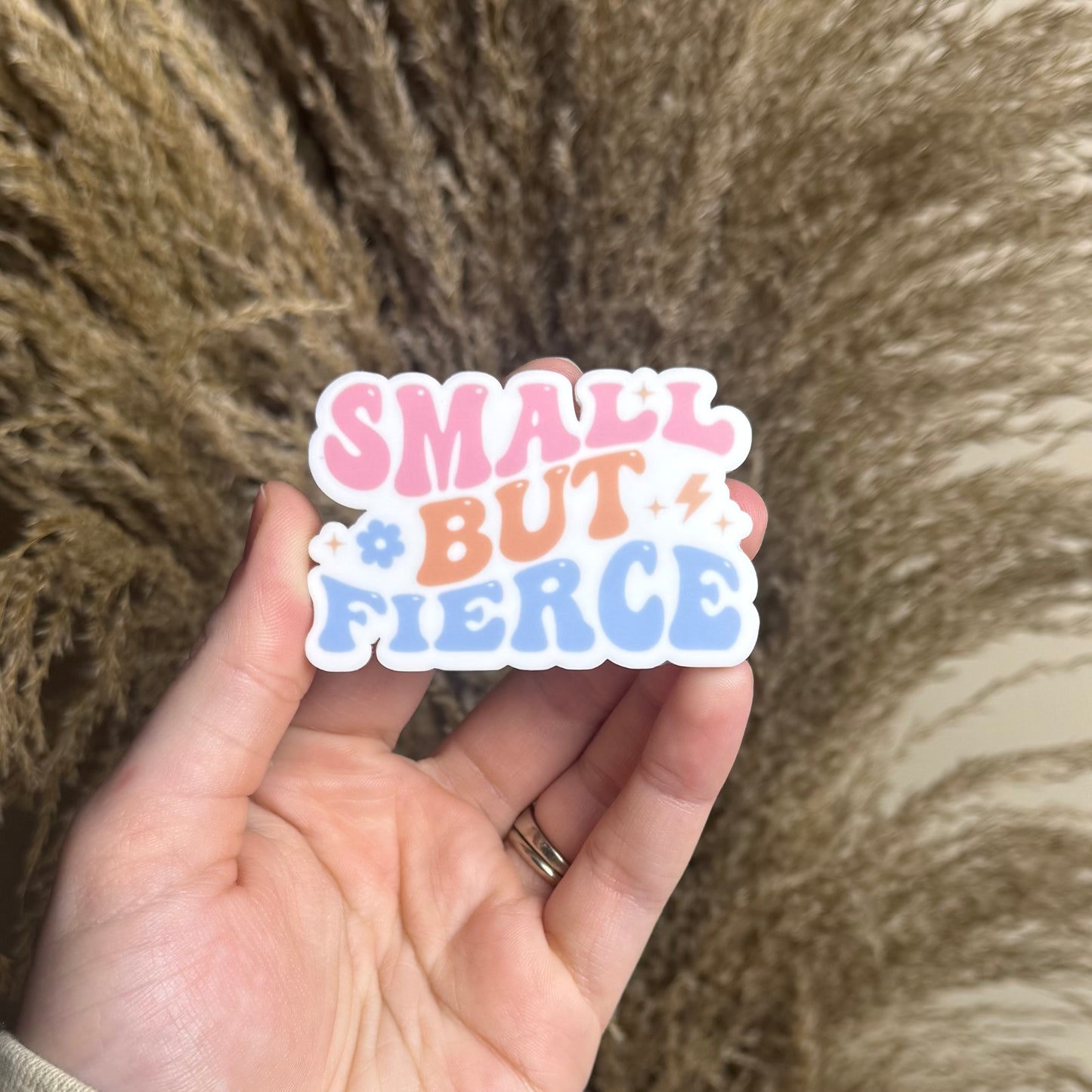 Small But Fierce || Bow Center