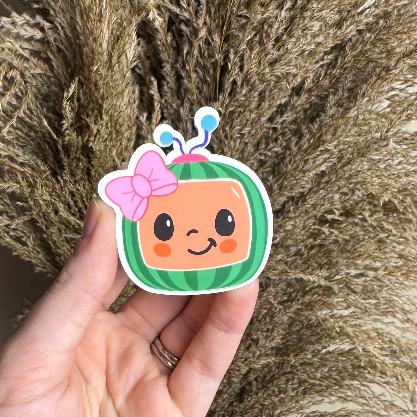 Cocomelon || Hair Clip (ws)