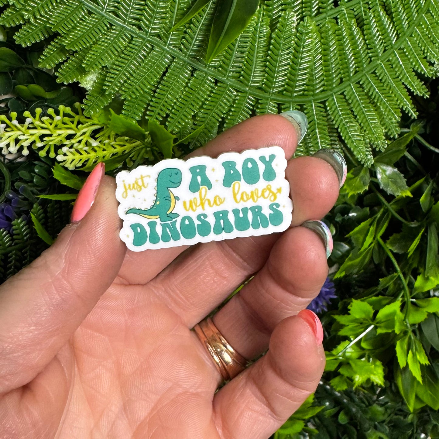 Just A Boy Who Loves Dinosaurs || Hat Pin