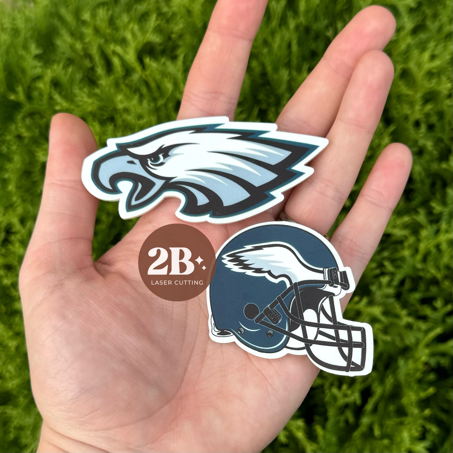 Eagles || Hair Clip (ws)