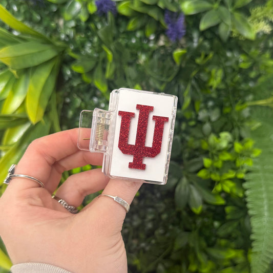 IU || Mini Claw Clip