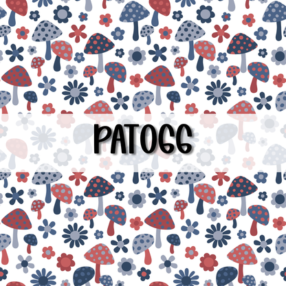 PAT066