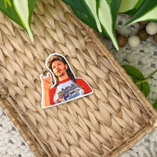 Joe Dirt || Bow Center