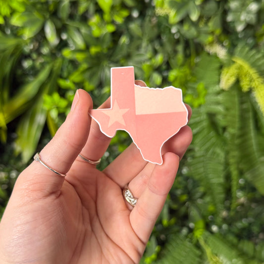 Pink Texas Flag || Bow Center