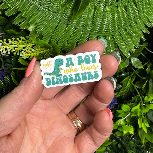 Just A Boy Who Loves Dinosaurs || Hat Pin