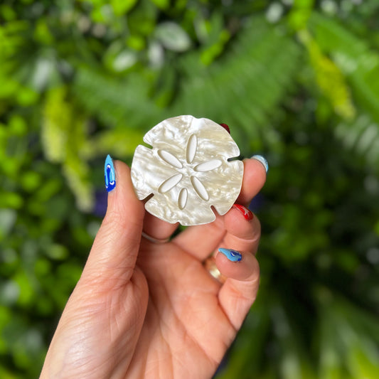 Sand Dollar || Hair Clip (ws)